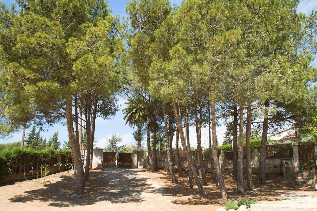 הוילה Alcover Menta House Preciosa Eco-Casa Con Gran Jardin Y Barbacoa מראה חיצוני תמונה